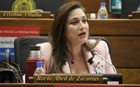 Posible divisi�n en bancada de Honor Colorado en Diputados