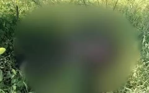 Autopsia revela que Leydi Karina falleci� por asfixia mec�nica y golpes violentos