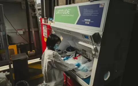 C�mo los c�rteles mexicanos prueban el fentanilo en personas y animales vulnerables