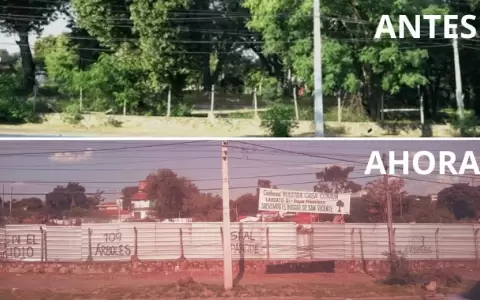 San Vicente perdi� �ltimo pulm�n verde, triste marca del 2024: "Una desgracia ambiental"