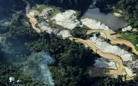 Am�rica Latina, terreno minado para activistas ambientales