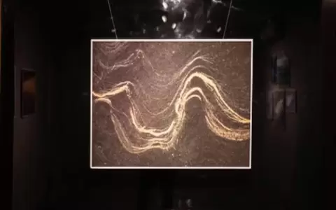 Visita guiada a la muestra "De K a Z, Eco-po�ticas de la materia", el viernes 6 de diciembre