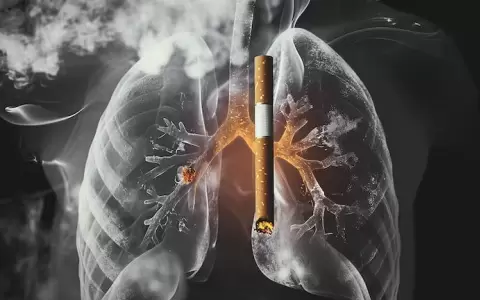 �En cu�nto tiempo un fumador mejora el funcionamiento de sus pulmones tras dejar el tabaco?