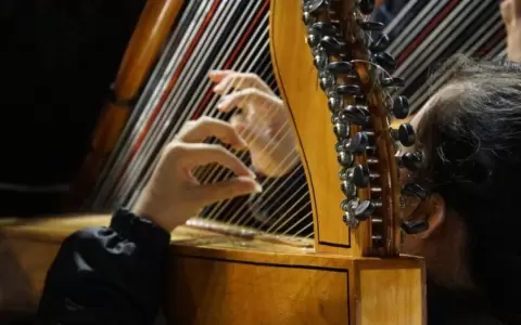 Focma desembolsa fondos a proyectos culturales adjudicados