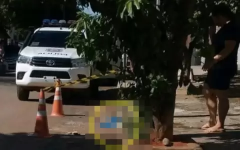 Encuentran el cuerpo de un beb� en plena v�a p�blica