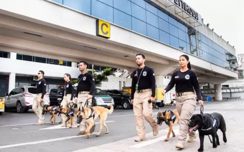 Senad presentar� cinco nuevos canes detectores de drogas que fueron entrenados en Chile