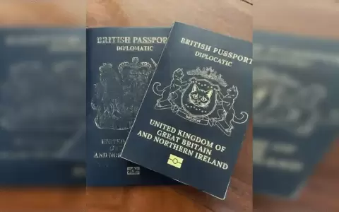 Conoc� a la paraguaya que acompa�ar� al embajador brit�nico por el mundo