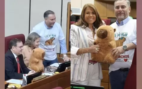 Modo "carpinchos� en el Senado, �qu� hace un peluche en la sesi�n de hoy?