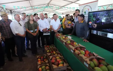 Chile est� interesado en el mango paraguayo