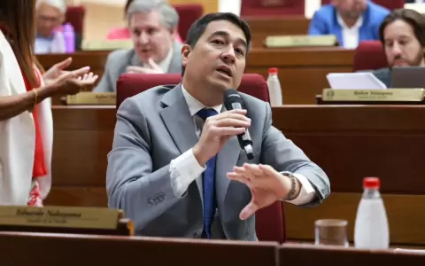 Equidad presupuestaria: Nakayama pide disculpas a pilarenses