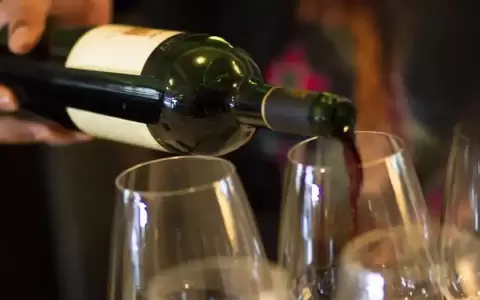 Wine Spectator corona un vino chileno como mejor del mundo