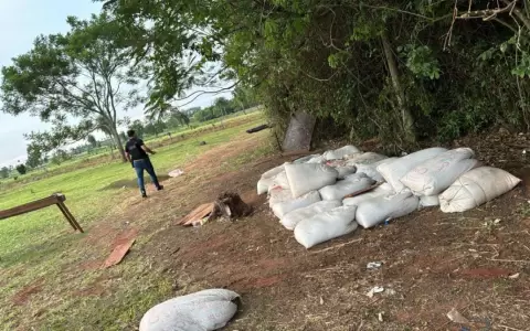 Incautaron m�s de 17.300 kilos de marihuana en allanamiento en Maracan�