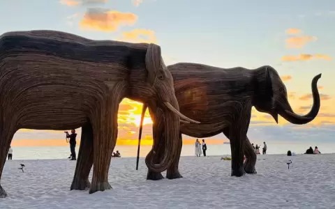 La invasi�n sorpresa de elefantes en Miami Beach: arte, ecolog�a y un desfile impactante