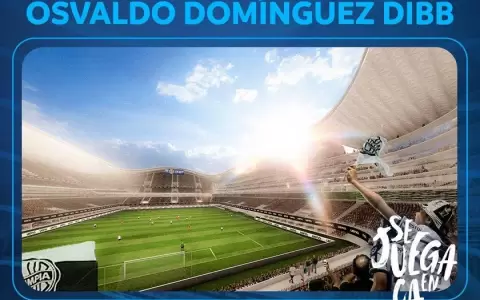 Todos los detalles del estadio Osvaldo Dom�nguez Dibb
