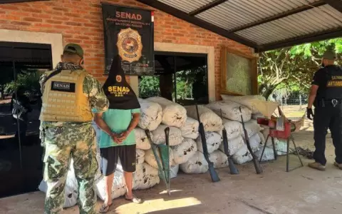 Senad incauta m�s de 7 toneladas de marihuana en Colonia Maracan�