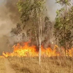 Alerta por incendios: m�s de 160 focos en 10 d�as movilizan a bomberos