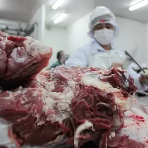 Nuevo frigor�fico prev� iniciar faena en agosto y apunta a exportar carne porcina