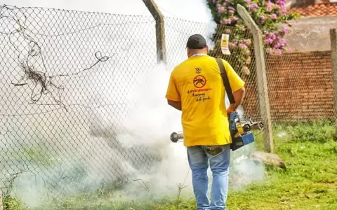 C�mo evitar la propagaci�n del dengue y protegerse de la picadura del mosquito