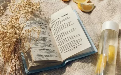 Cuatro libros para el verano