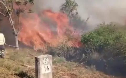 Incendio de gran magnitud en Luque-San Bernardino moviliza a los bomberos