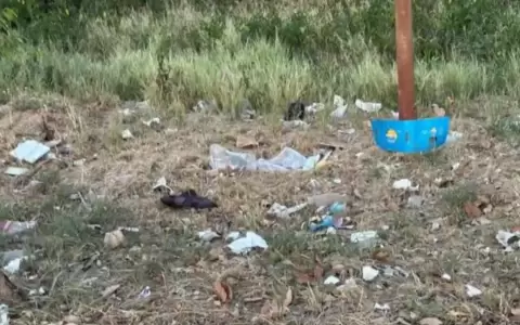 Parque Guasu: arquitecto lamenta estado de "uno de los pulmones de la ciudad"
