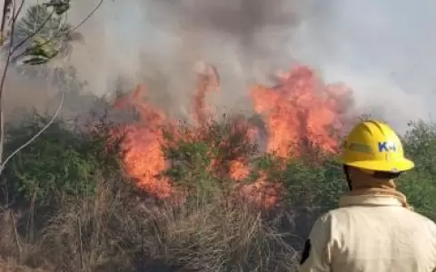 Fuerzas Armadas combaten incendios en la Ruta Luque-San Bernardino