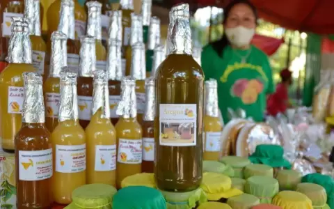 Aregu� invita al "Festival del Mango", encuentro de sabor y tradici�n