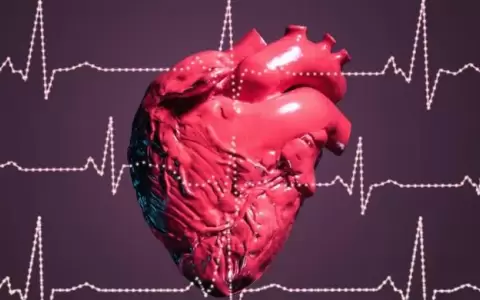 �Cu�l es la fruta llena de antioxidantes que ayuda a prevenir las enfermedades card�acas?