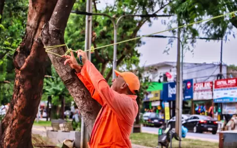 Luque: Municipalidad desalojar� a vendedores del Paseo Central