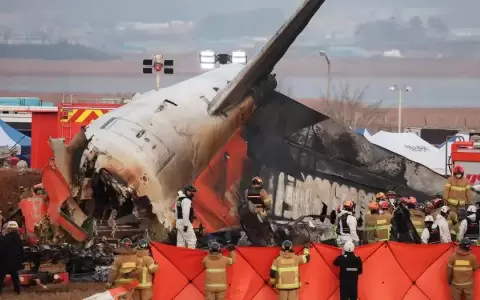 Hallaron ADN de pato en ambos motores del avi�n de Jeju Air que se estrell� en Corea del Sur y dej� 179 muertos