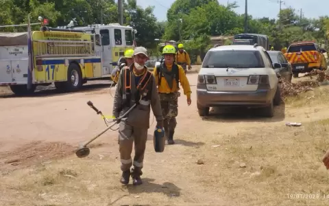 Fuego confinado en Costanera Norte: combaten llamas para proteger viviendas cercanas
