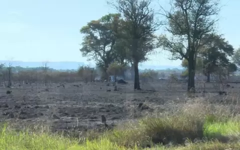 Tras nuevos incendios, piden conciencia a la ciudadan�a