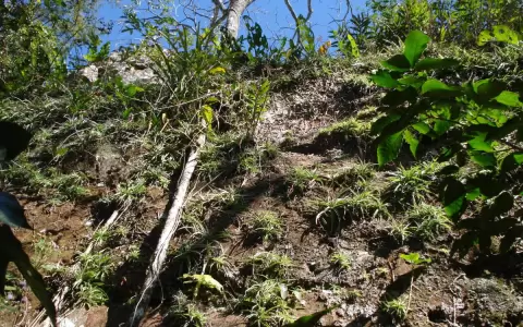 El Cerro Muralla en Cerro Cor�