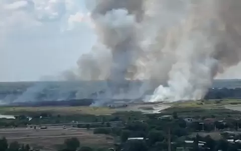 Confirman que el incendio en la Costanera Norte fue intencional