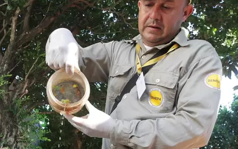 Alerta ante posible ingreso de nuevo serotipo de dengue.