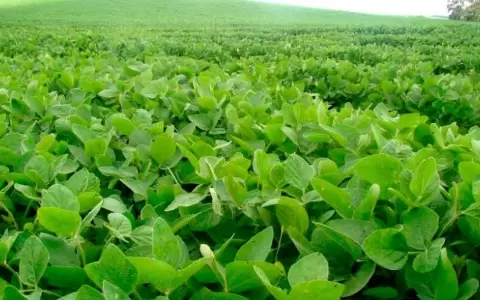 Intenso calor y falta de lluvias pondr�an en riesgo al comercio y la producci�n, advierten