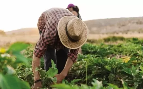 Perspectivas claves para el sector agroproductivo en este 2025