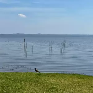 Alertan que el Lago Ypacara� contin�a sin ser apto para el ba�o