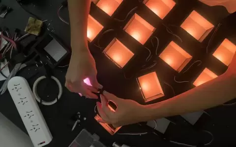 Work in Progress: Laura Mandelik y Gabriela Mercado, �Switch�