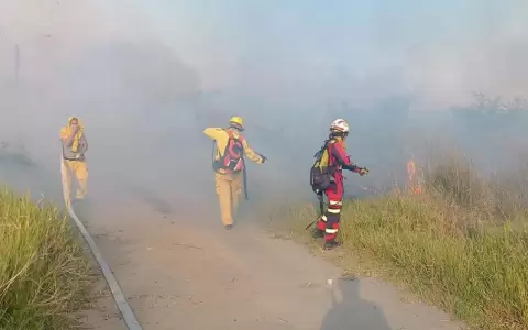 Incendios forestales no dan tregua.