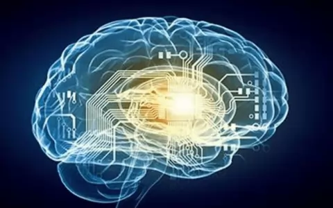 Un grupo de cient�ficos descubri� cu�l es la temperatura en la que mejor funciona el cerebro