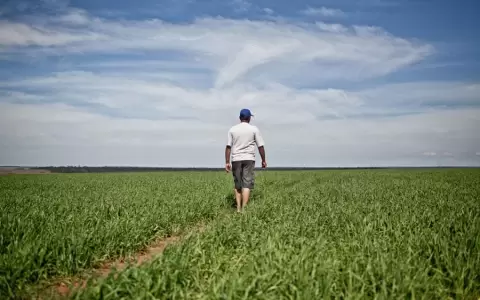 Preocupa falta de lluvias y su impacto en los cultivos