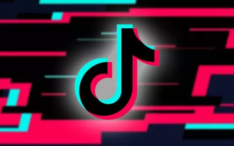Familias francesas demandan a TikTok tras el aumento de los suicidios adolescentes asociados al consumo de contenido da�ino