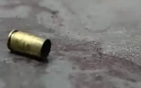 Mujer resulta herida por bala perdida mientras celebraba el A�o Nuevo