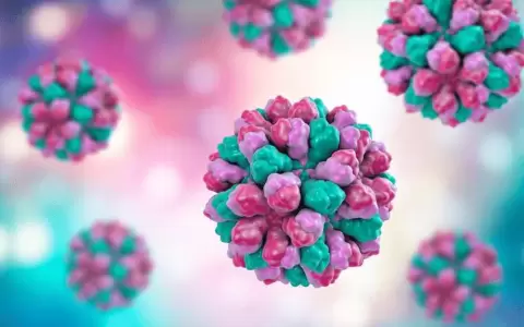 Ocho claves sobre el norovirus y c�mo protegerse para evitar la transmisi�n