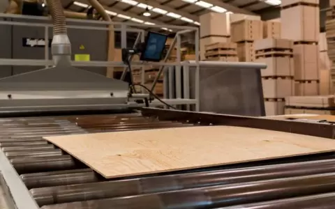 Industria apuesta por mercados globales con madera contrachapada de alta calidad