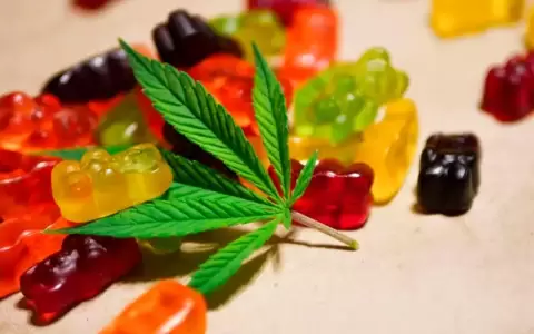Senador se muestra en contra de legalizar la marihuana en el pa�s