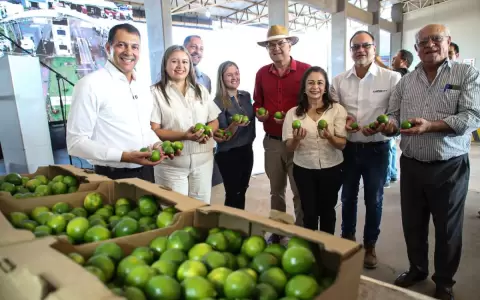 Paraguay export� por primera vez lim�n Tahit� de la mano de la agricultura familiar
