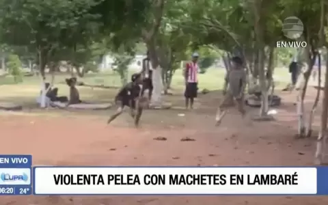 Violenta pelea entre dos hombres con machete en Lambar�