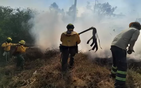 Reportan m�s de 200 focos de incendio activos en Paraguay